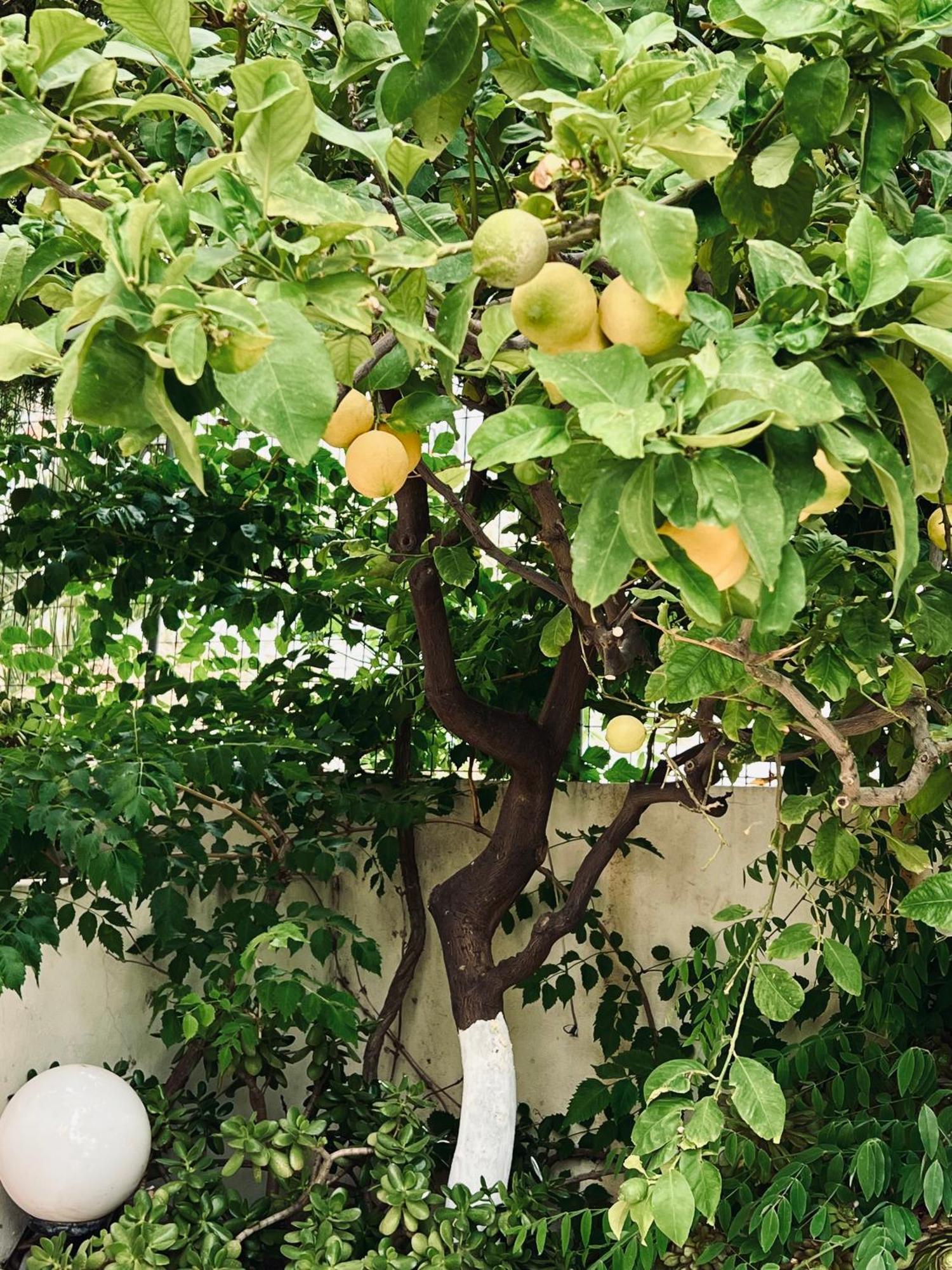 Bella Vista Διαμέρισμα Bali  Εξωτερικό φωτογραφία